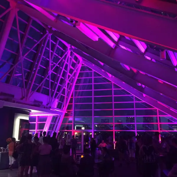Bowie Ball 2014 at Adler Planetarium, photo 6 by Heaven Malone