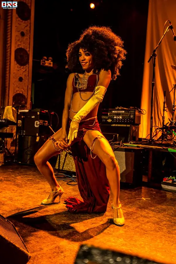Bowie Ball 2015 at Metro, photo 3 by Brett Bergen