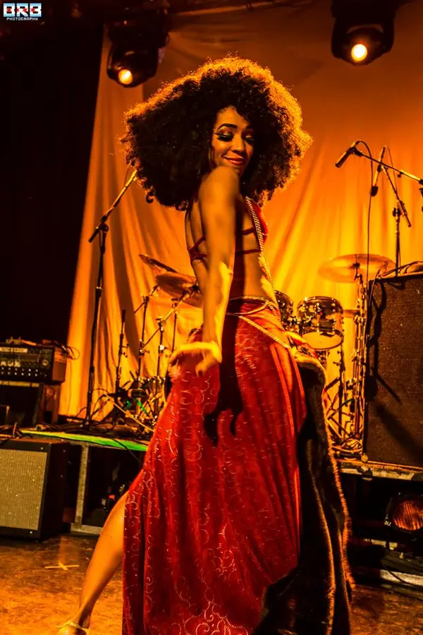 Bowie Ball 2015 at Metro, photo 10 by Brett Bergen