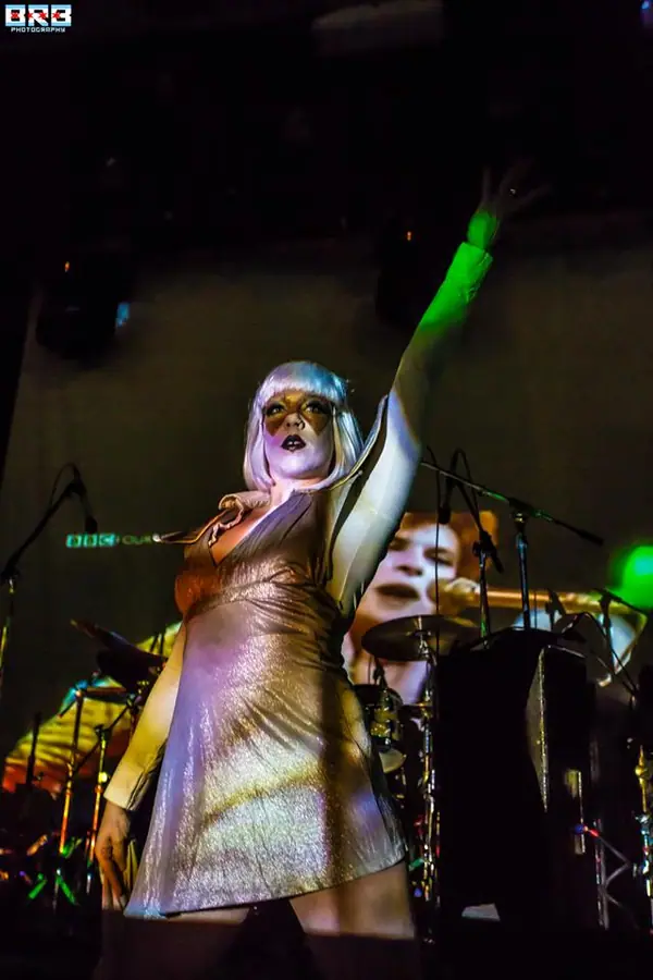 Bowie Ball 2015 at Metro, photo 72 by Brett Bergen